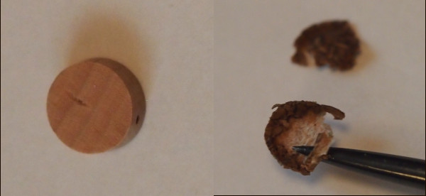 New cork��Old cork