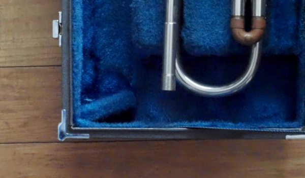 Side Back of the Case (Before treatment)