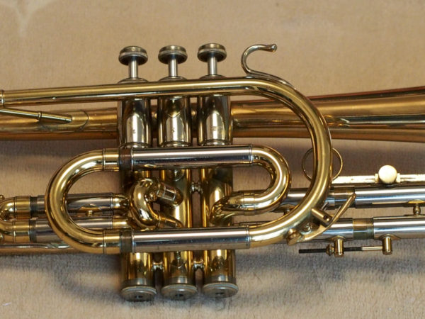 Center of the NIKKAN IMPERIALE CORNET (After processing)