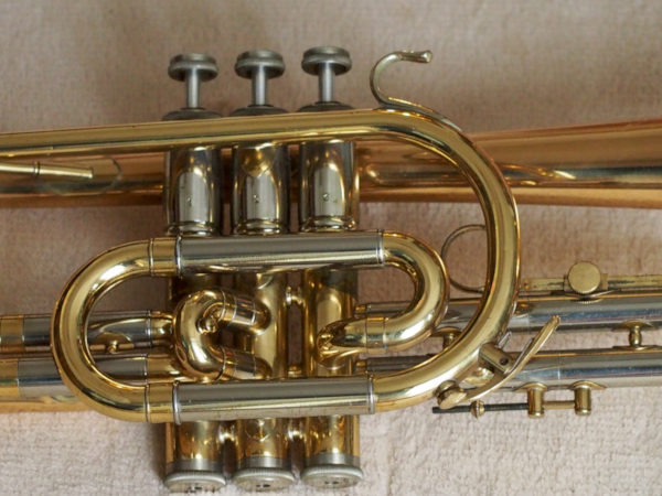 Center of the NIKKAN IMPERIALE CORNET (Before processing)