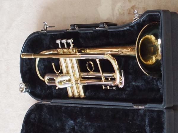 Swallow Trumpet in the Case