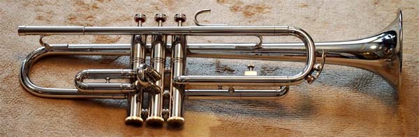 TOKAN ELLIS Trumpet(up)